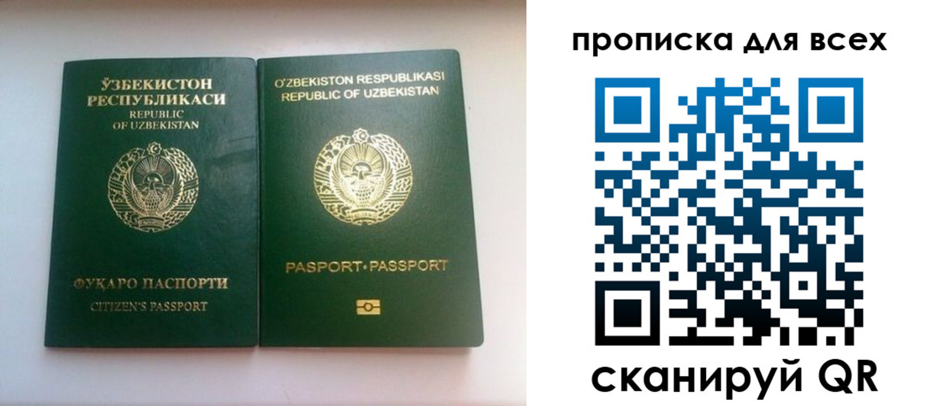 прописка для школы в Шарыпово